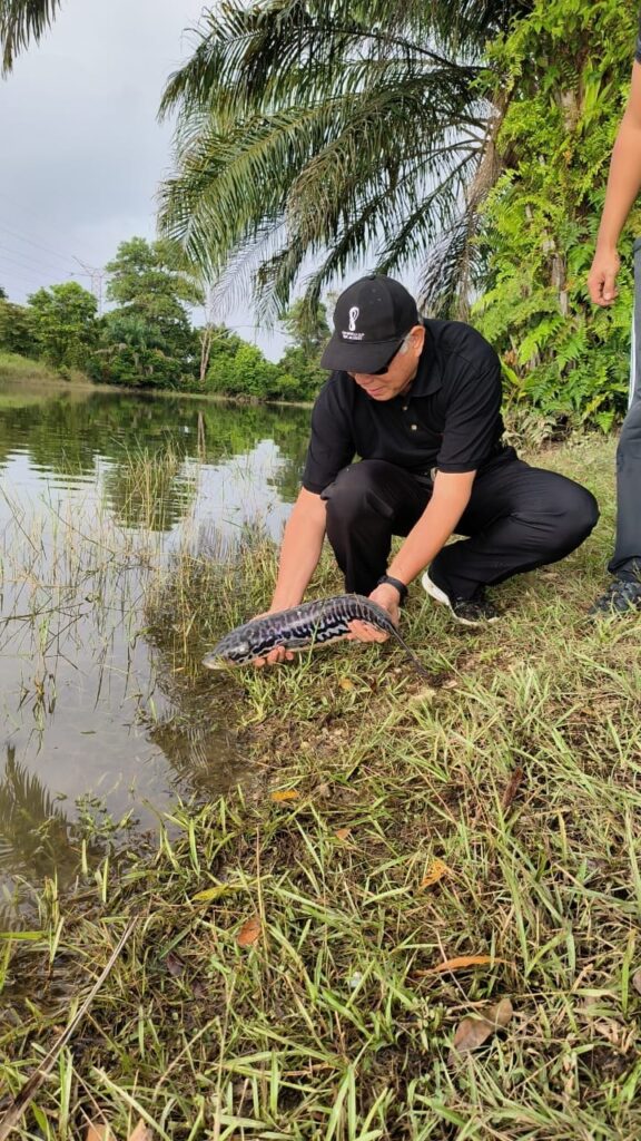 pelepasan_ikan10